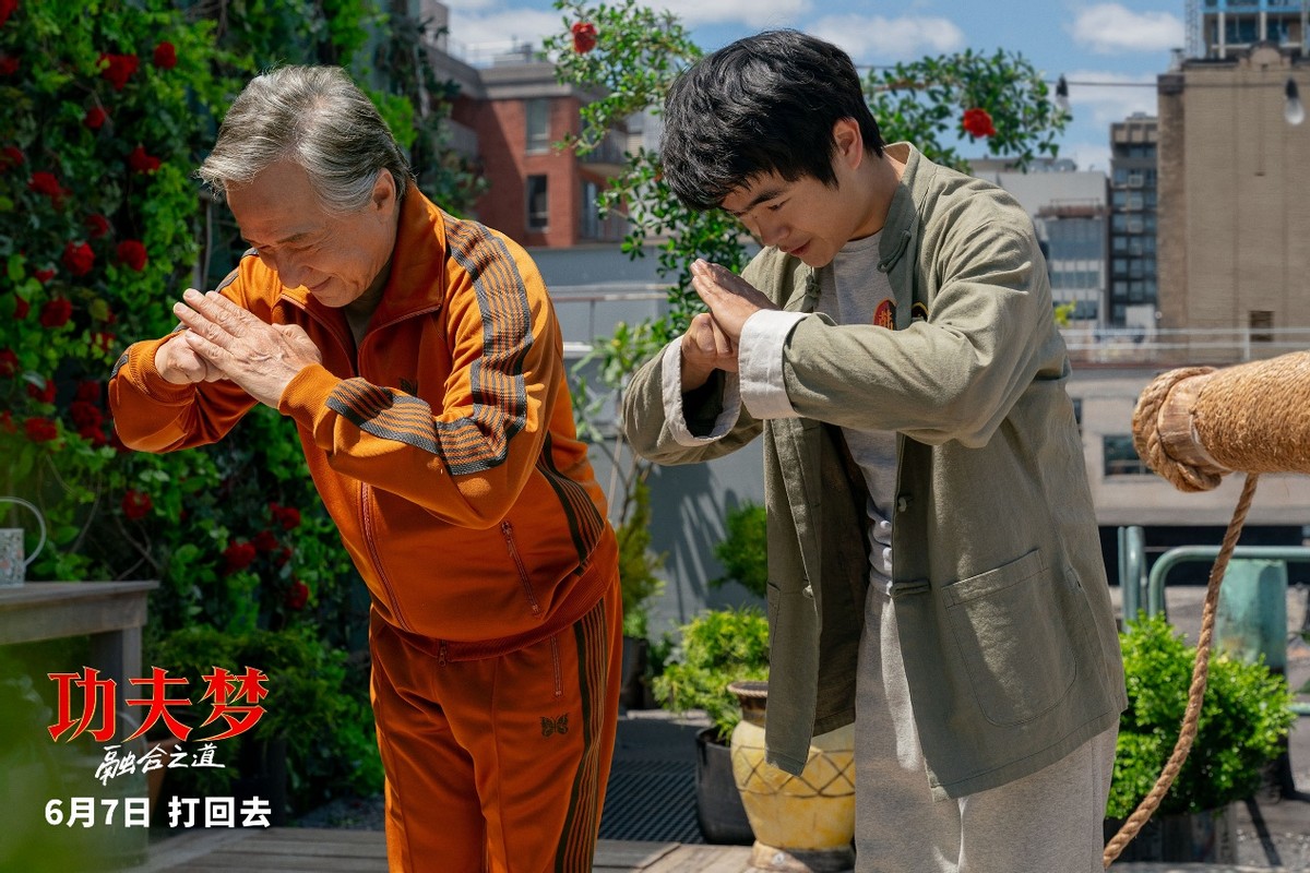 功夫梦融合之道剧情讲解_功夫梦融合之道 成龙电影 武打动作电影
