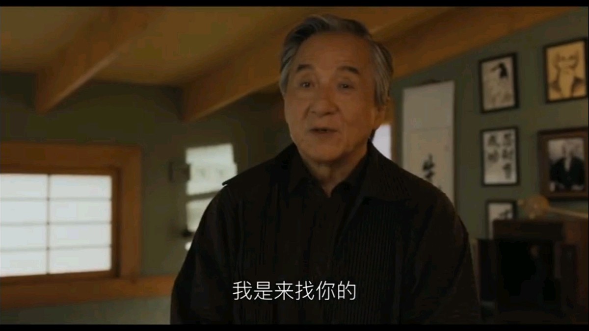 功夫梦融合之道2025成龙_功夫梦系列电影回顾_成龙功夫梦融合之道电影